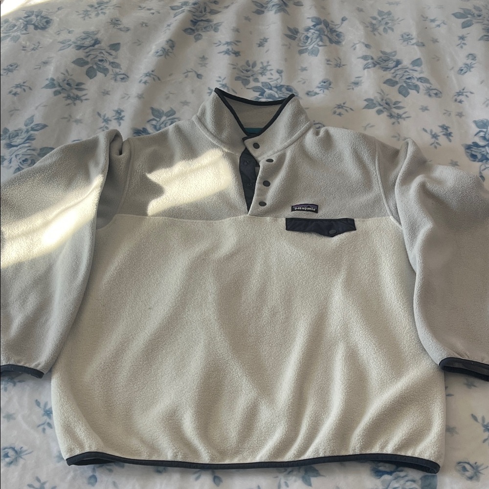 Patagonia Men's Two-Tone Fleece Pullover